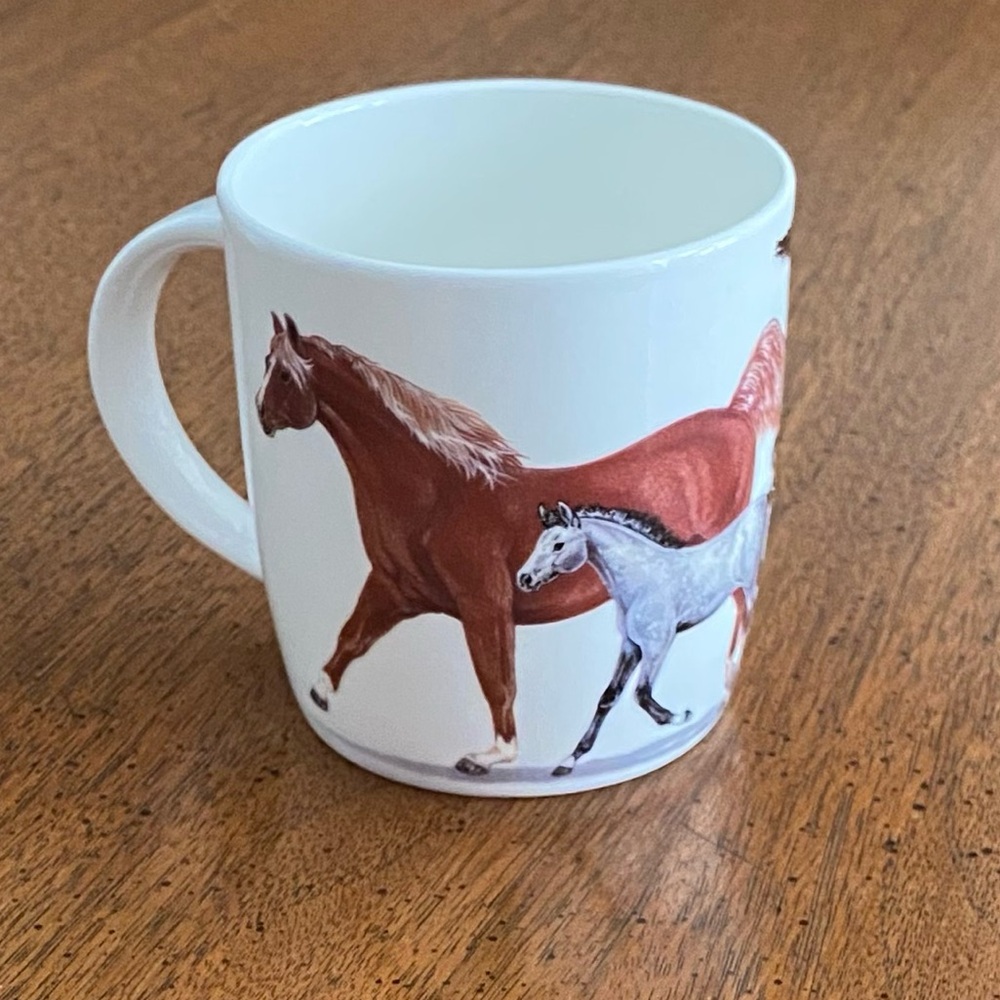 Roy Kirkham Fine Bone China Cup Mug Glass England Horses Pony Stallion Mare Colt